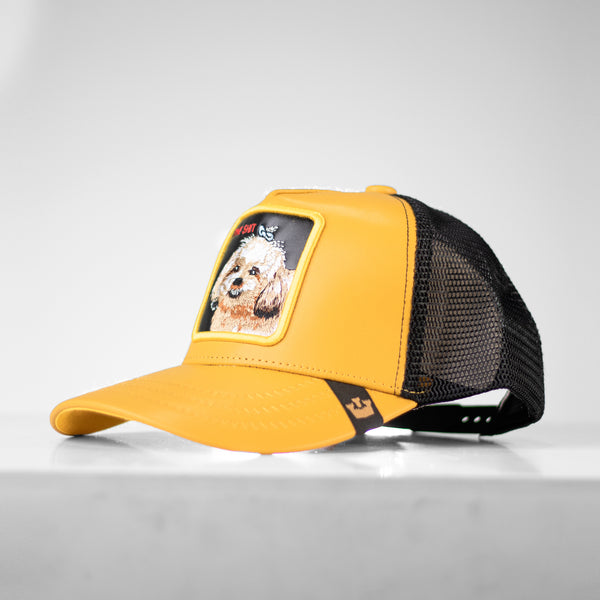 Gorra Goorin Amarillo-3 para hombre