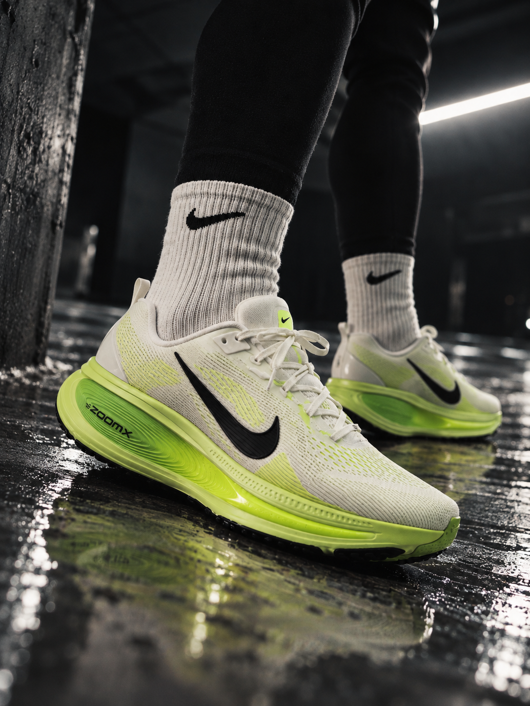 Tenis