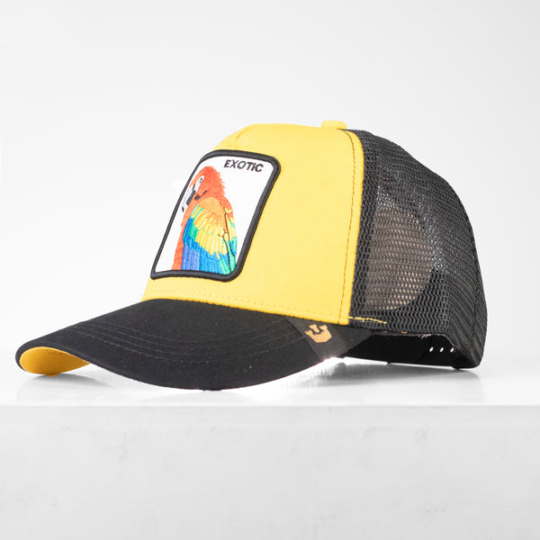 Gorra Goorin Amarillo-2 para hombre