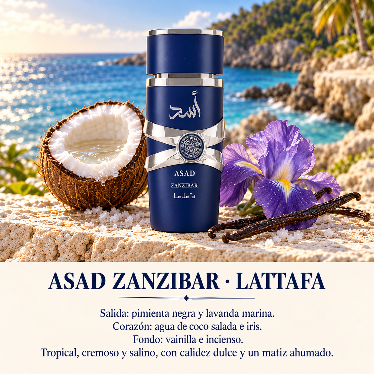 Lattafa Asad Zanzibar: notas olfativas y composición editorial.